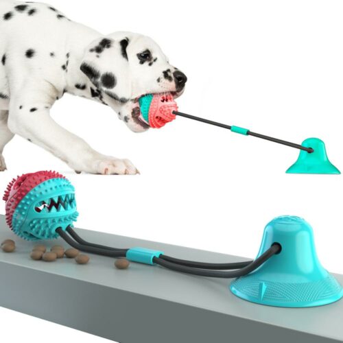 Hunde Spielball mit Saugnapf - 01